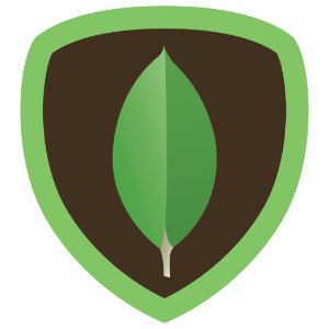 MongoDB MongoDB